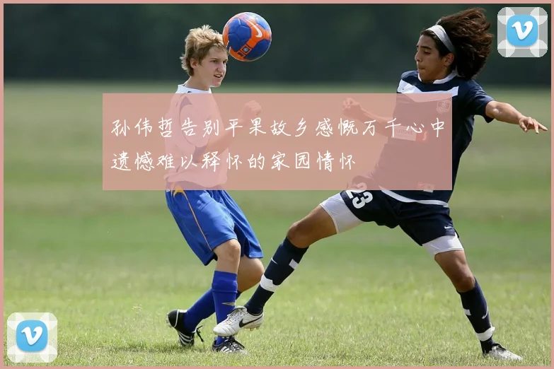 孙伟哲告别平果故乡感慨万千心中遗憾难以释怀的家园情怀