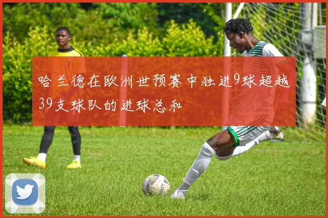 哈兰德在欧洲世预赛中独进9球超越39支球队的进球总和