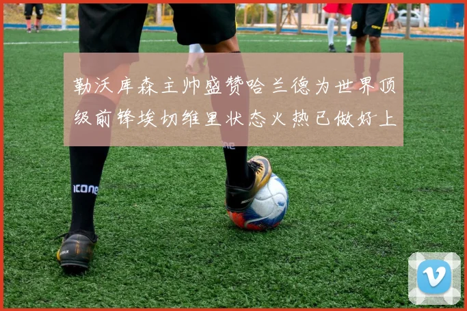 勒沃库森主帅盛赞哈兰德为世界顶级前锋埃切维里状态火热已做好上场准备
