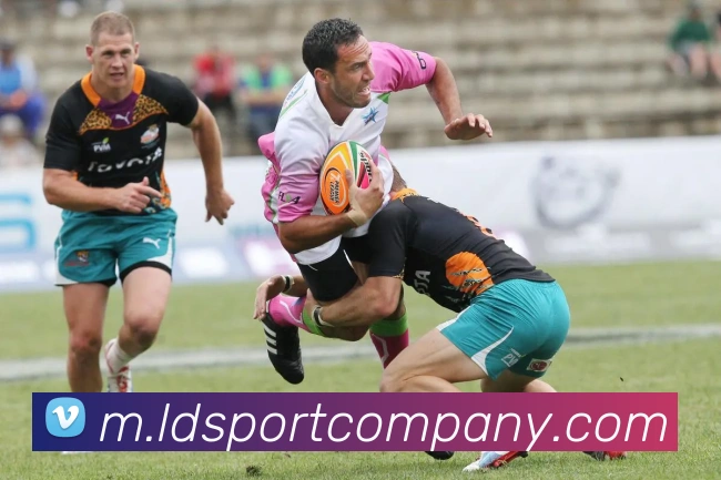 App Interface Preview